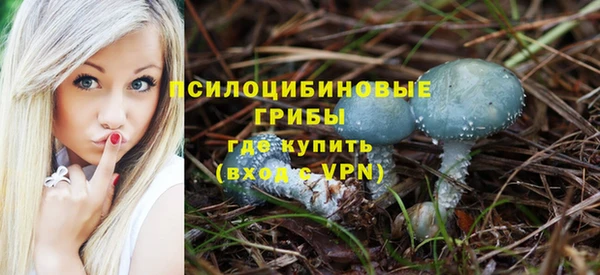 соль ск Нефтекумск
