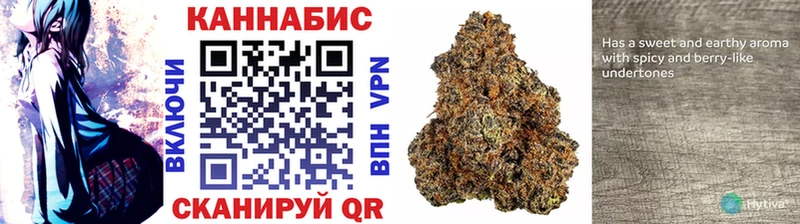 где купить наркоту  Полесск  ссылка на мегу как войти  МАРИХУАНА White Widow 